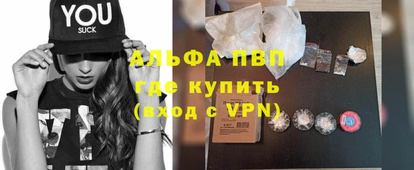 молекула духа Пересвет