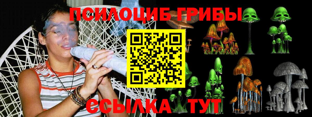 Скопин  Псилоцибиновые грибы прущие грибы  купить   Вход с VPN 